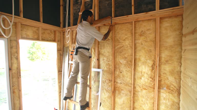 Best Attic Insulation Installation  in Newell, WV